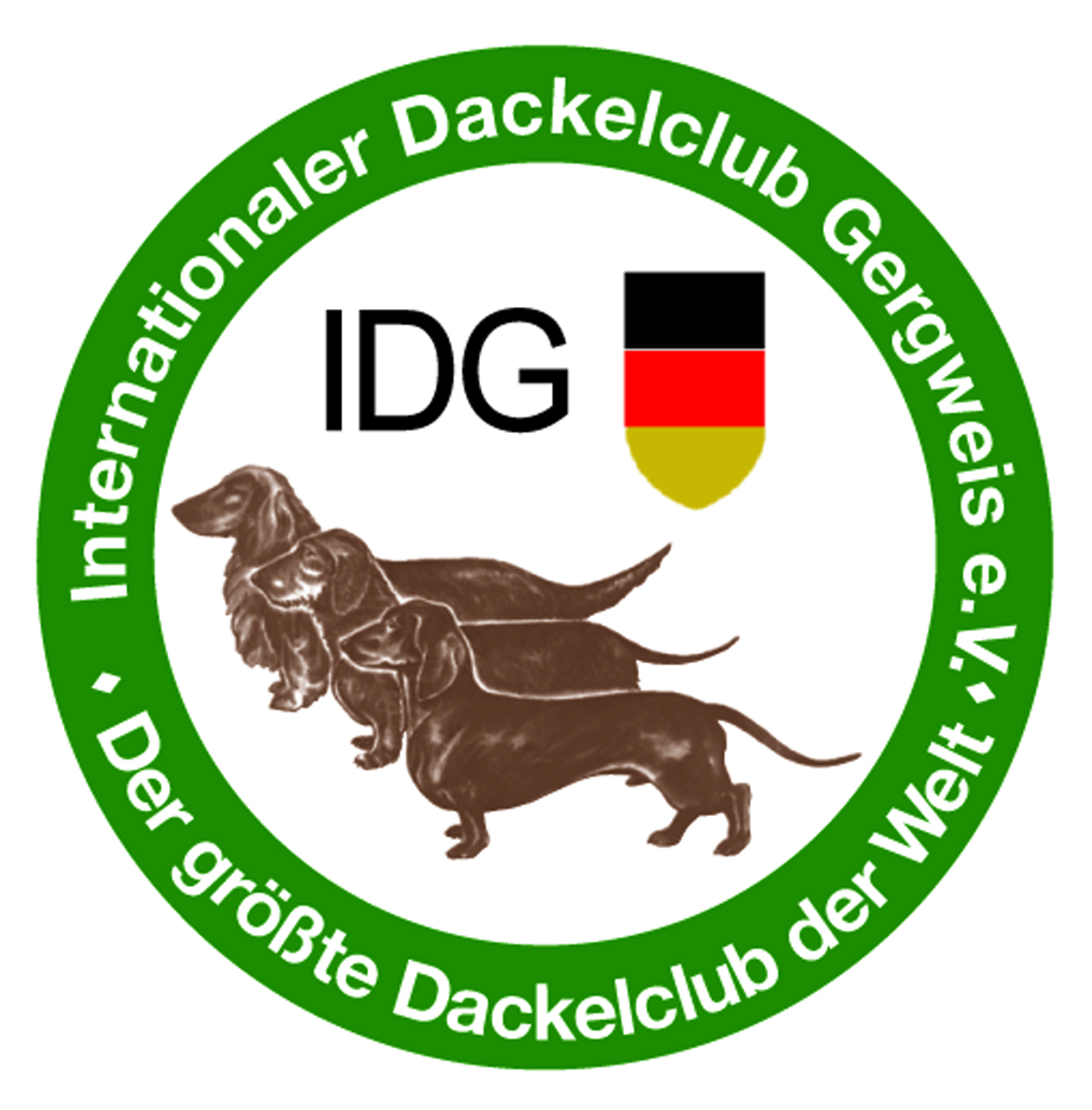 IDG Logo neu