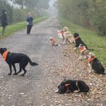 Oberalster - Bronze, Silber, Gold-Kurs